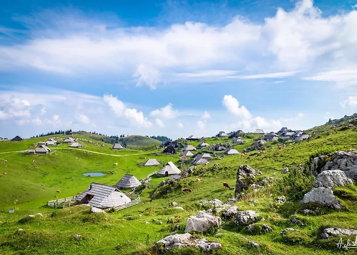 Koca Pastirica - Velika Planina