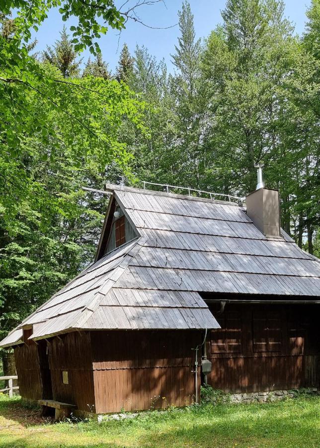 Koca Pastirica - Velika Planina Chalet Stahovica