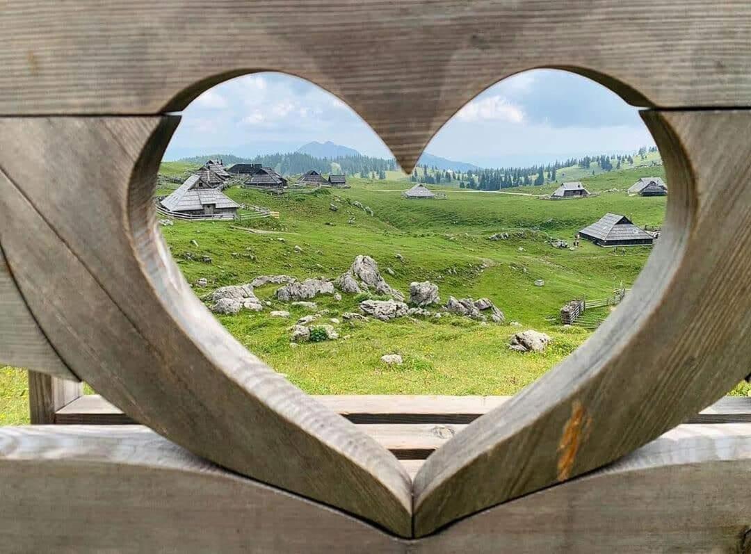Koca Pastirica - Velika Planina