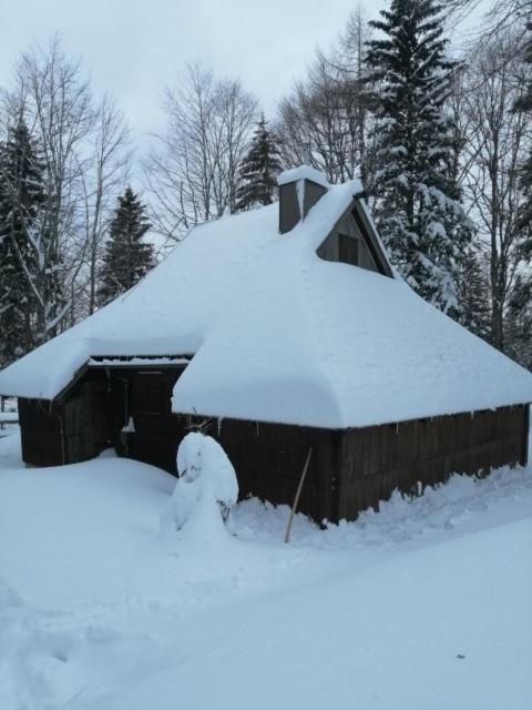 Koca Pastirica - Velika Planina
