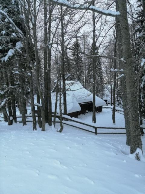 Koca Pastirica - Velika Planina