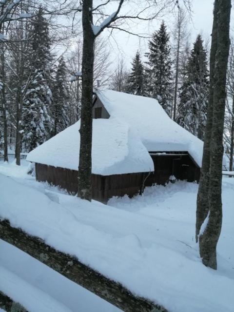 Koca Pastirica - Velika Planina Chalet Stahovica
