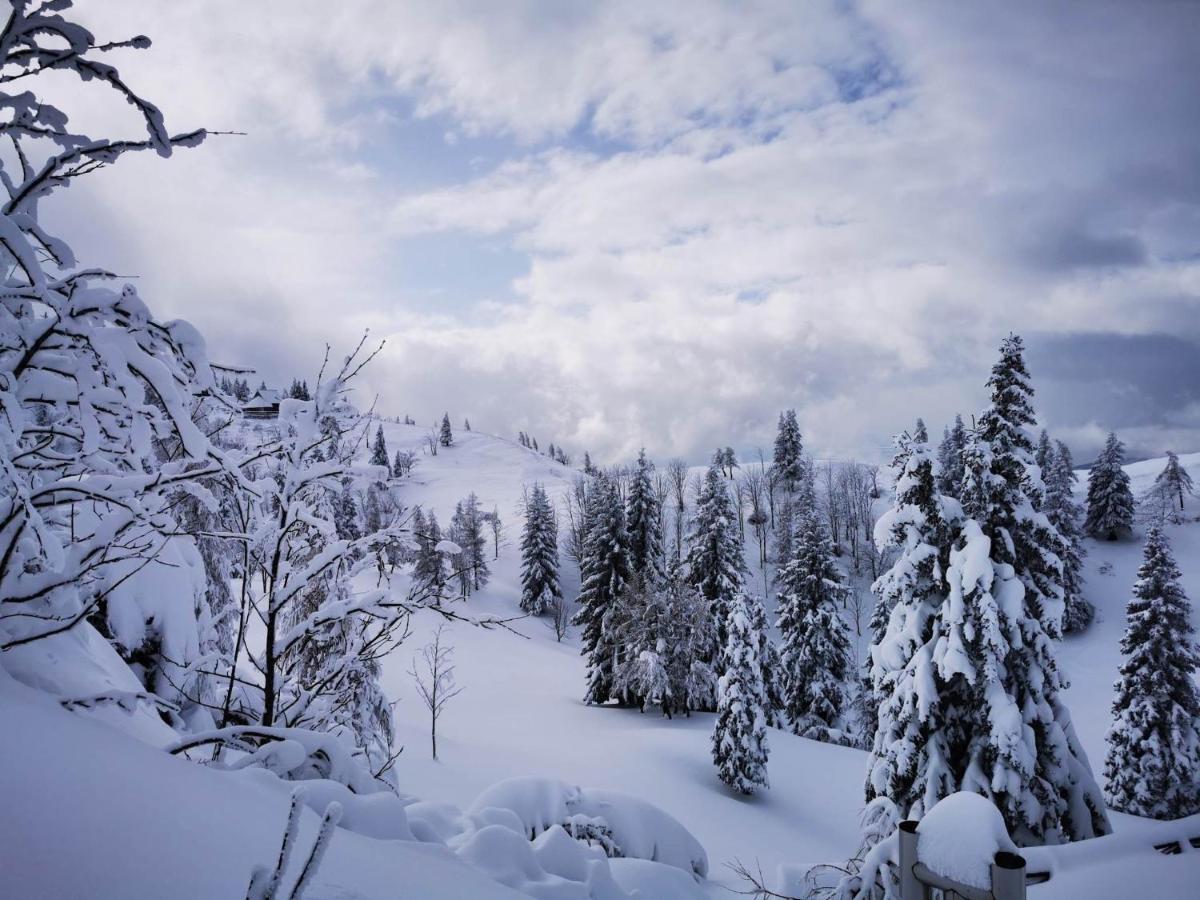 Horská chata Koca Pastirica - Velika Planina