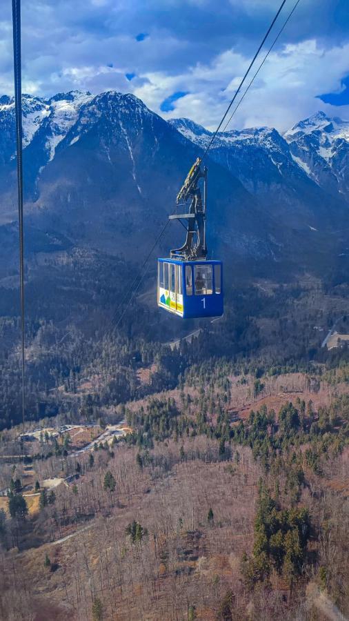 Koca Pastirica - Velika Planina Chalet