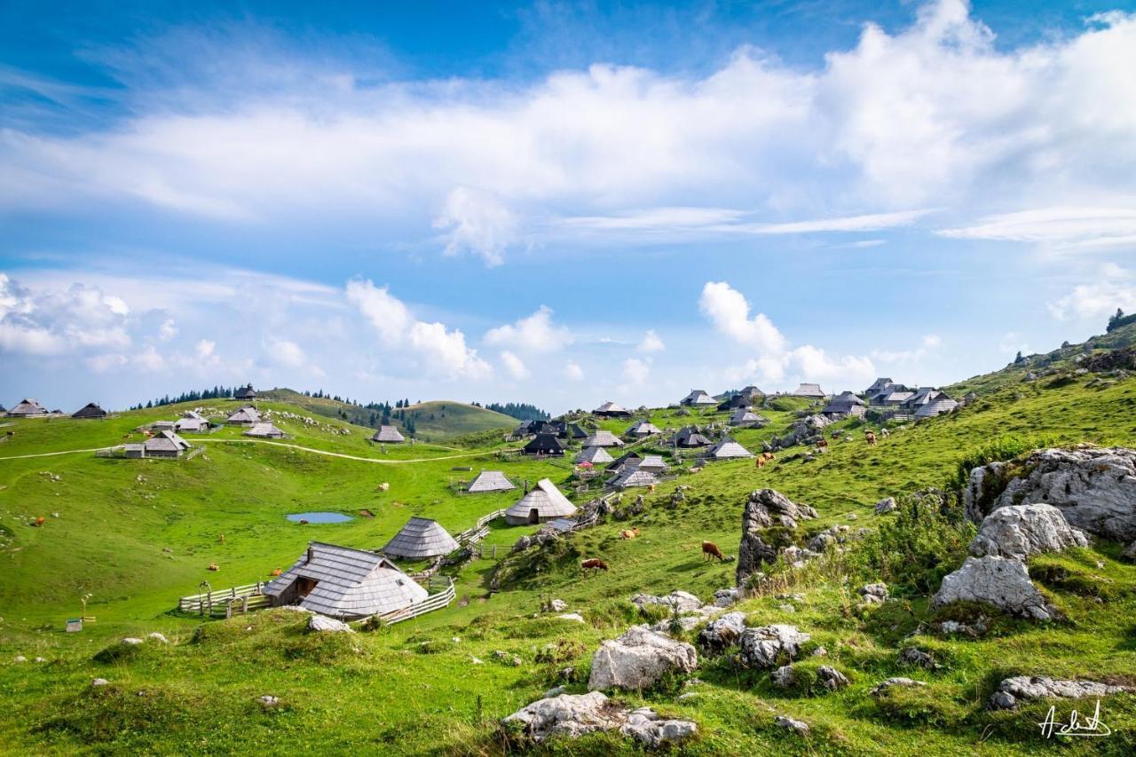 Chalet Koca Pastirica - Velika Planina *